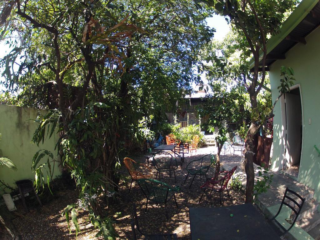 Hamaca Paraguaya Hostelアスンシオン エクステリア 写真