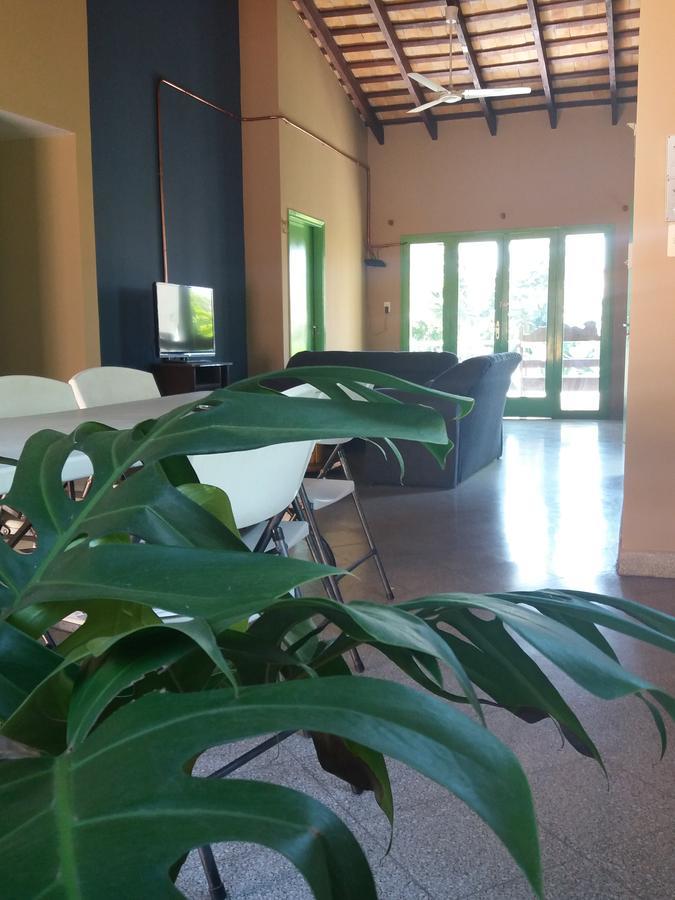 Hamaca Paraguaya Hostelアスンシオン エクステリア 写真