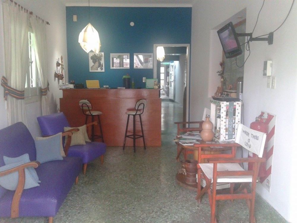 Hamaca Paraguaya Hostelアスンシオン エクステリア 写真