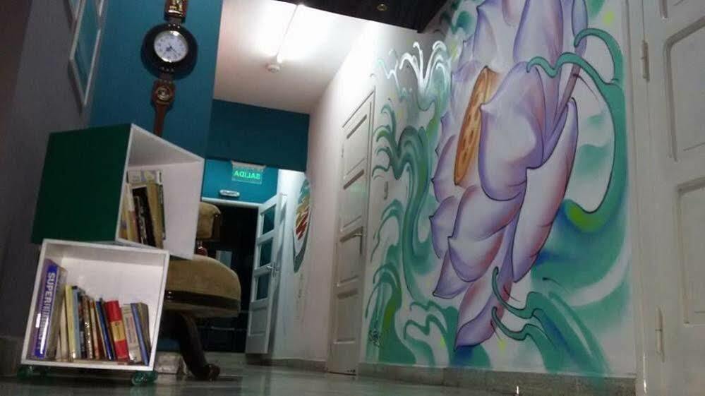 Hamaca Paraguaya Hostelアスンシオン エクステリア 写真