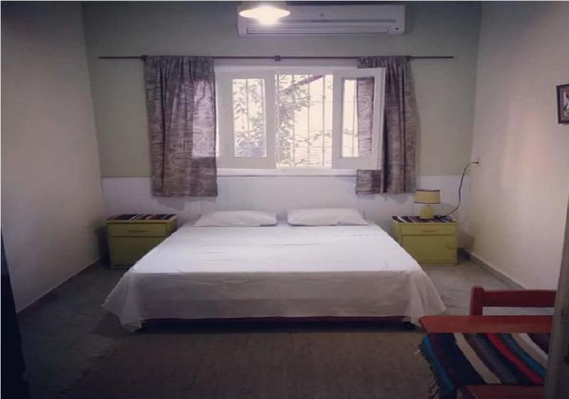 Hamaca Paraguaya Hostelアスンシオン エクステリア 写真